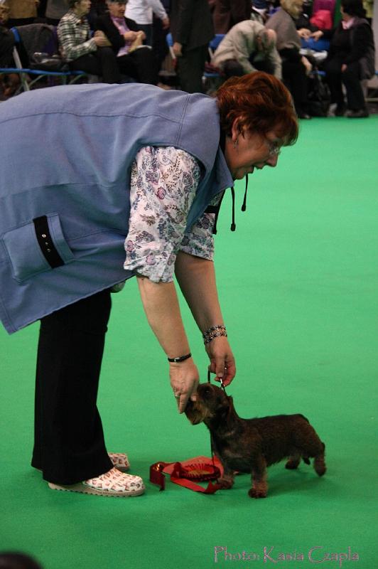 Crufts2011_2 963.jpg